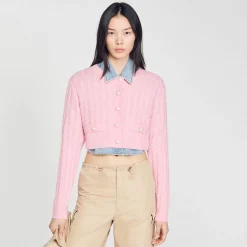 Sandro Paris Suéteres E Cardigans-Jaqueta Tricotada