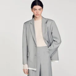 Sandro Paris Suéteres E Cardigans-Sueter Transparente Com Strass