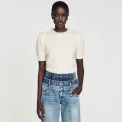 Sandro Paris Suéteres E Cardigans-Sueter Tricotado